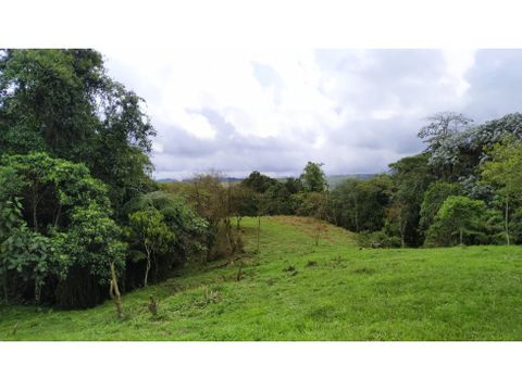 espectacular bodega lote suburbano filandia quindio