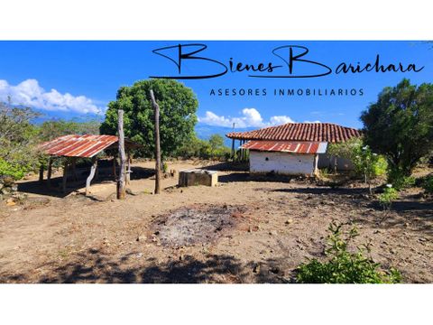 vendo parcela carrizal pino barichara 7155 m2