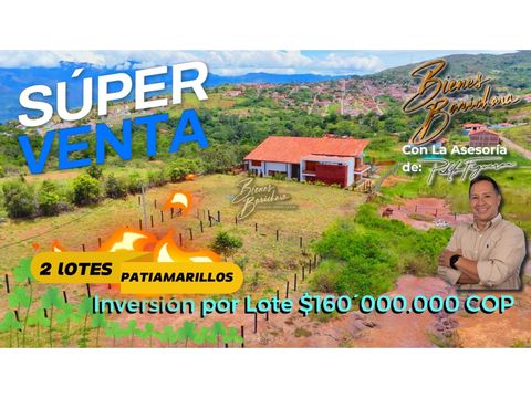 vendo lotes barichara sector patiamarillos