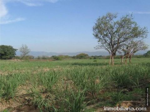 terreno industrial 365 ha en el coyol de alajuela