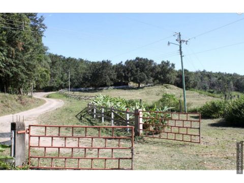 finca de 110 ha electricidad y riego en bagaces