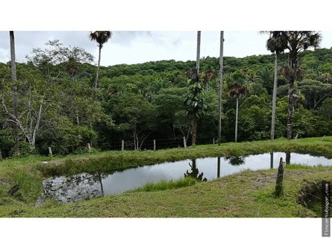 venta o permuta casa campestre en cumaral meta