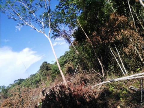 vendo terreno de 139 hec en cimitarra santander