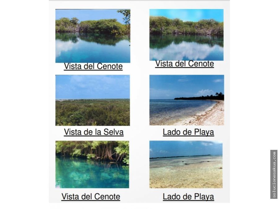 326 hectareas carretera playa y 2 cenotes