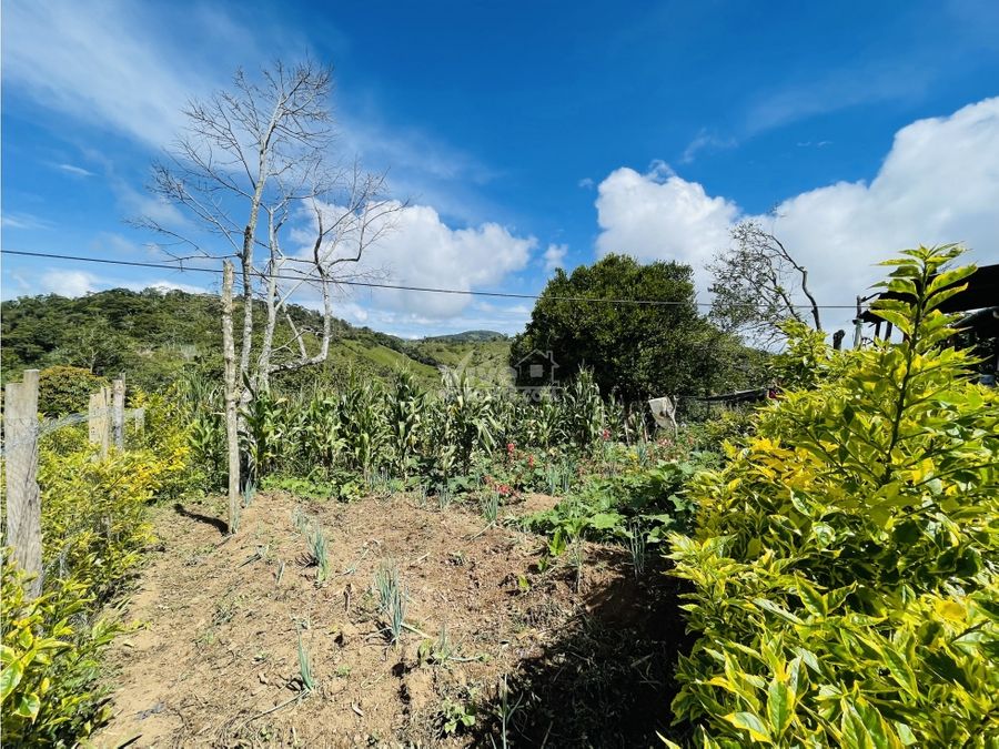 finca de 1 hectarea con casa frutales cafe y cana en san roque ant