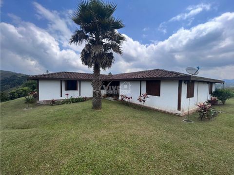 venta de finca ganadera en amalfi antioquia