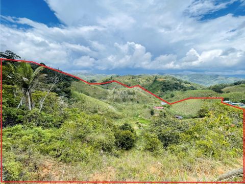 se vende finca con trapiche panelero en san roque antioquia