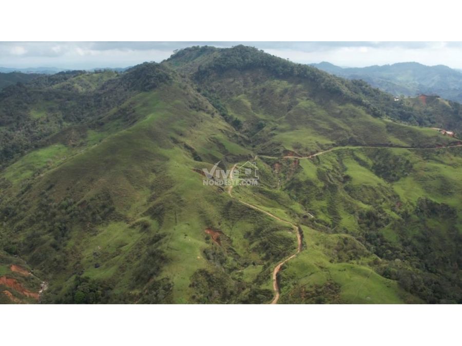 finca de 250 hectareas con rio bosques potreros y carretera