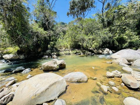 venta de finca productora en san roque antioquia