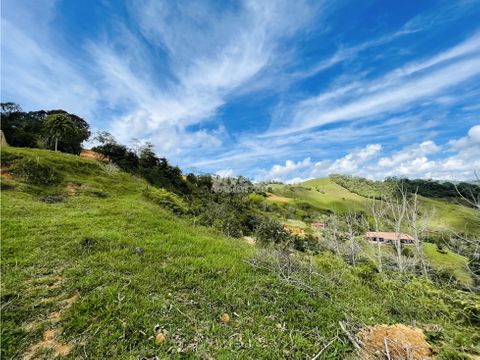 venta lote san roque antioquia