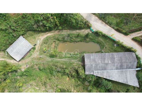 se vende finca en santo domingo antioquia