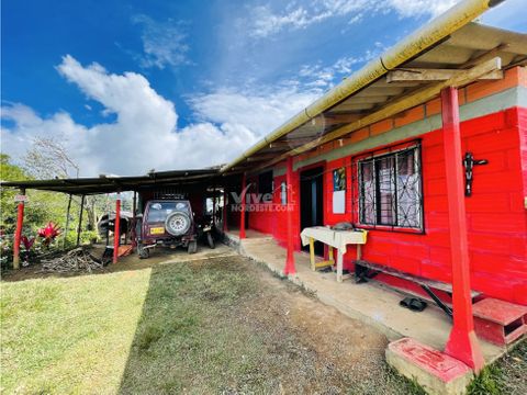 finca de 1 hectarea con casa frutales cafe y cana en san roque ant