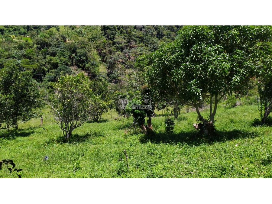 finca de 50 hectareas con rio cacao fique potreros y monte