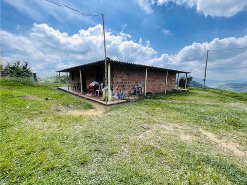 vendo finca lechera en santo domingo antioquia