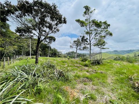 venta de lote rural en san roque antioquia