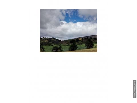 vendo lote 12 hectarias 2 lotes lenguazaque