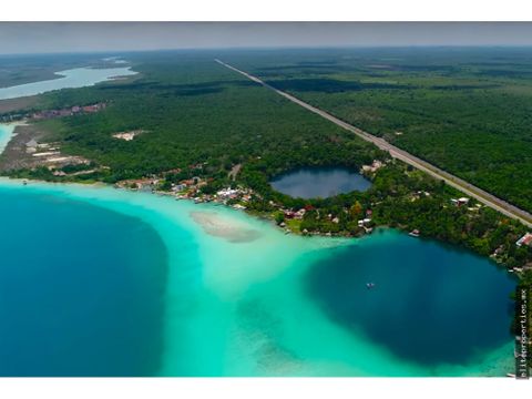 terreno de 135 has en bacalar quintana roo