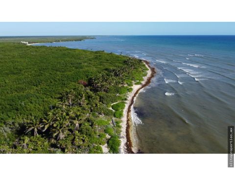 terreno de 84 has en santa rita tulum