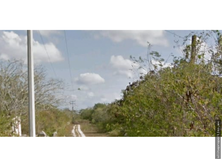 terreno de 107 has en ixil yucatan