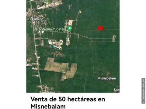 venta de 50 has en misnebalam