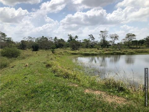 finca en venta a 10 minutos de monteria