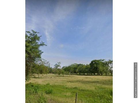 lotes campestres en venta via al sabanal en monteria