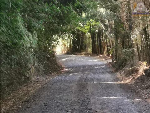 parcelas 6km de temuco las mariposas