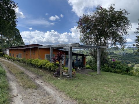 venta de finca cafetera vereda chaguala en calarca