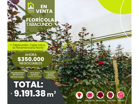 floricola en venta 9000m2