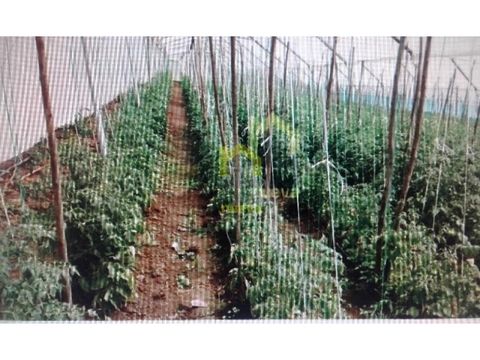 5 hectareas en venta atuntaqui