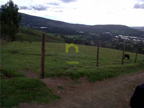 finca de 40 has para ganaderia o agricultura de rosas en cayambe