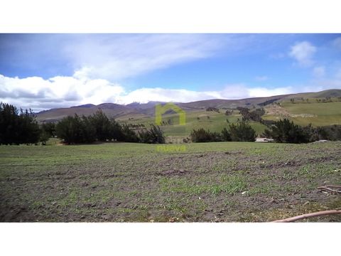 hermosa hacienda de 100 hectareas a 30 minutos de cayambe