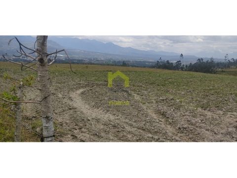 terreno plano para casa de campo sector lomatika