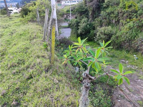 gran oportunidad de inversionotavalo peguche