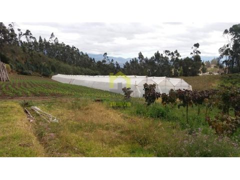 vendo quinta de 5 hectareas en atuntaqui