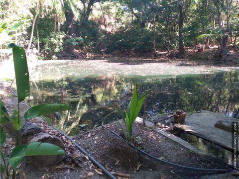 venta finca bonda ojo de agua