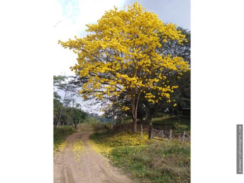 venta finca magdalena medio puerto salgar