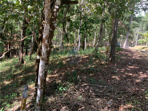 venta terreno cerro azul