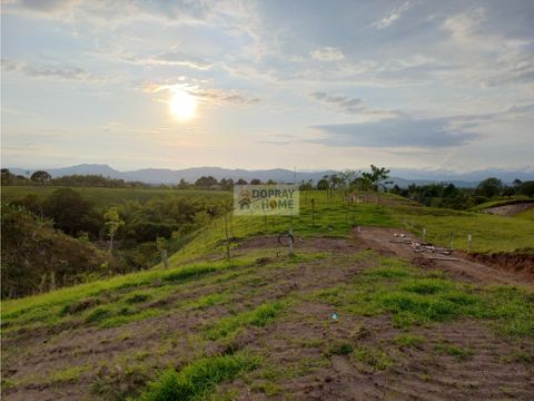 se vende lote campestre via quimbaya alcala