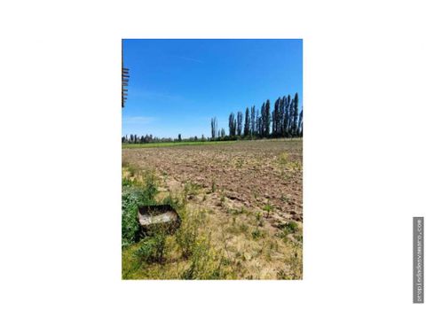 se vende parcela de 5300 mt2 en maule sur en colbun vii region