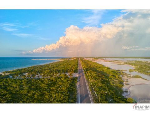 terreno en venta frente al mar san crisanto yucatan