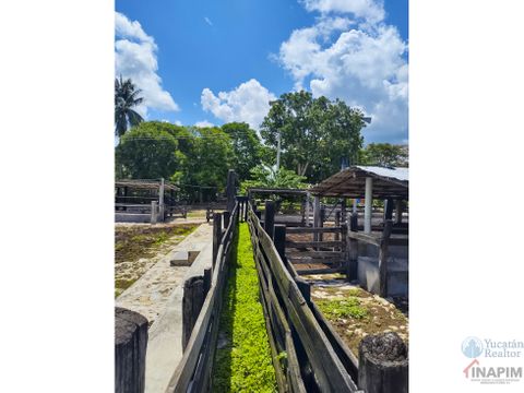 venta de rancho en zona ganadera de yucatan con cenotes 453 has