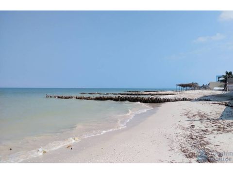 venta de terreno en la playa de chelem yucatan