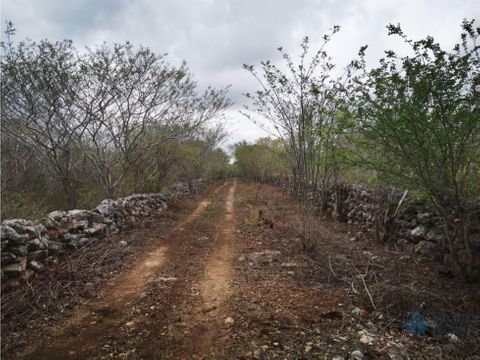 venta de macrolote con acceso en sinanche yucatan