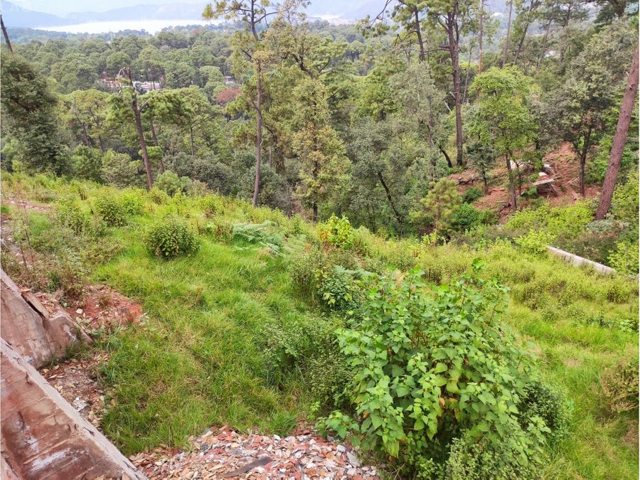 terreno con vista al lago y bosque en residencial privado en avanadaro