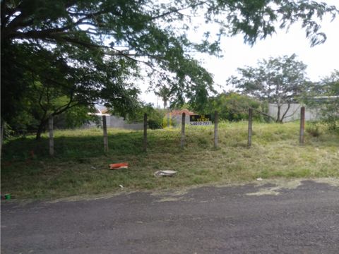 venta de lote de 1000 en real de pereira guachipelin