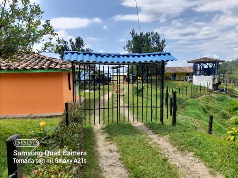 se vende finca de 9 cuadras a 30 minutos de chinchina