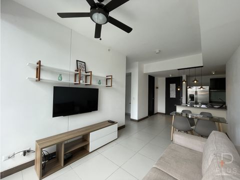 apartamento 2 habitaciones amueblado alquiler torre rohrmoser jv495