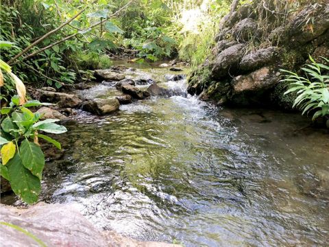 finca en venta en san jose de ocoa