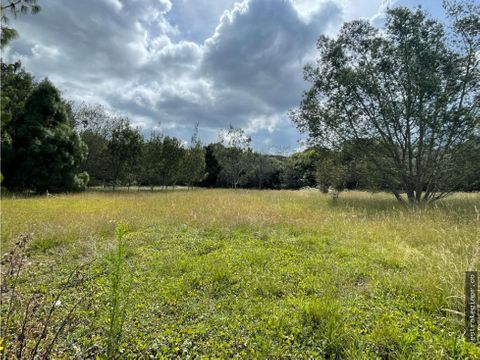 venta de lote en parcelacion en el alto de las palmas